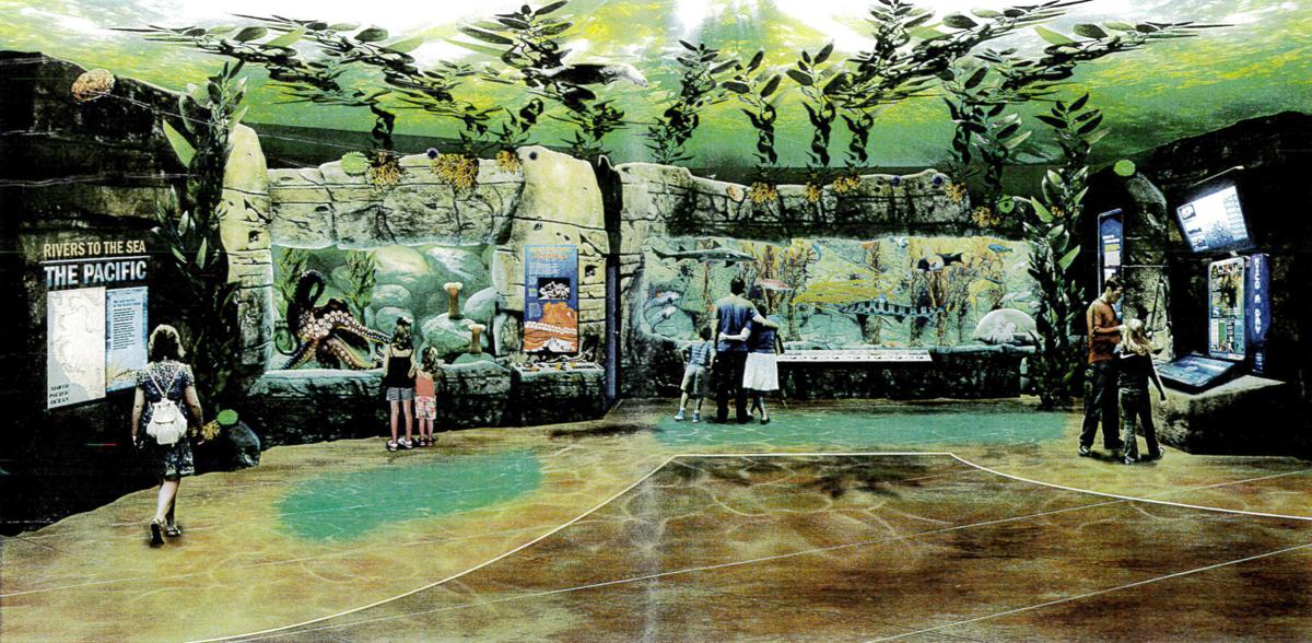 Dubuque museum unveils plans for 10aquarium gallery with