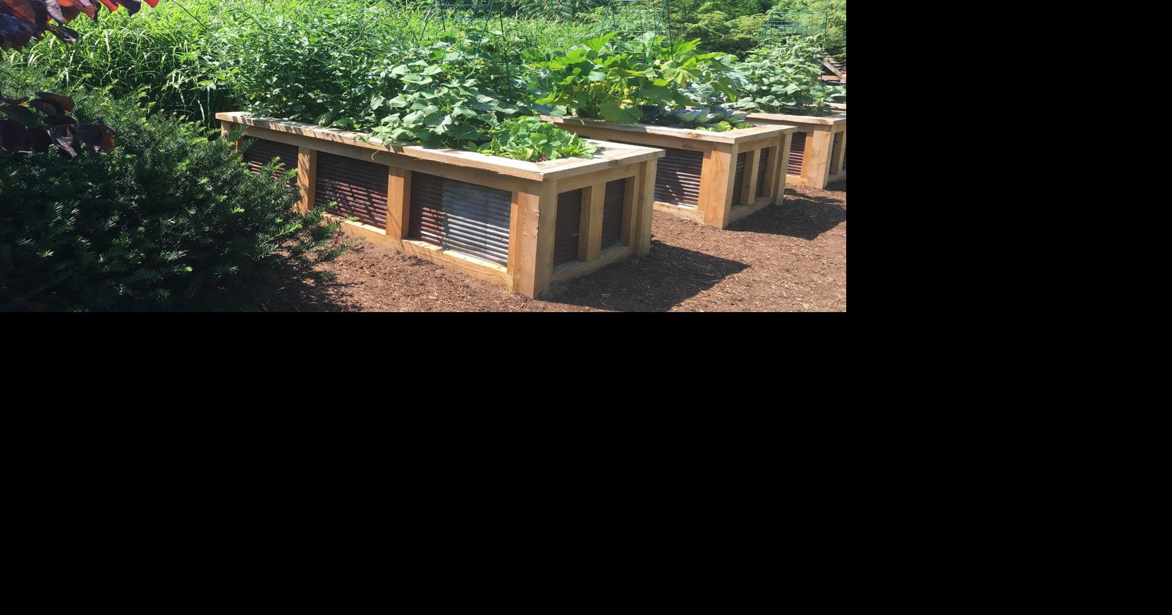 Raised bed gardening provides increased productivity Features
