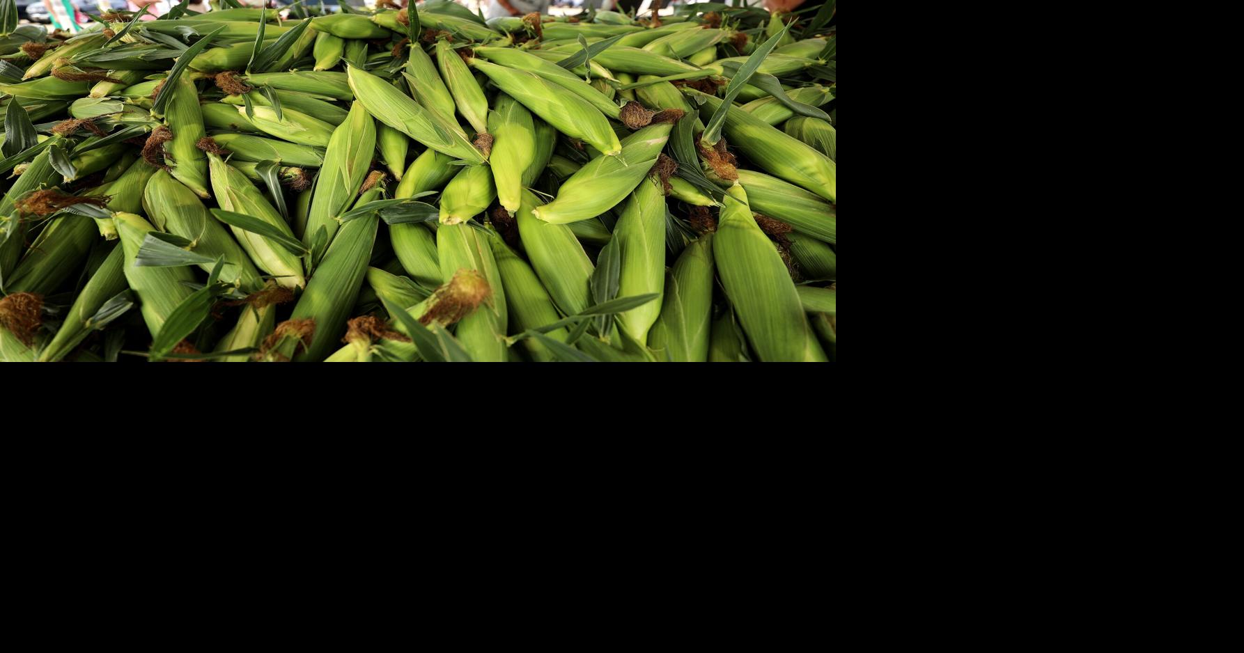 Sweet corn season is here, these recipes make the most of it