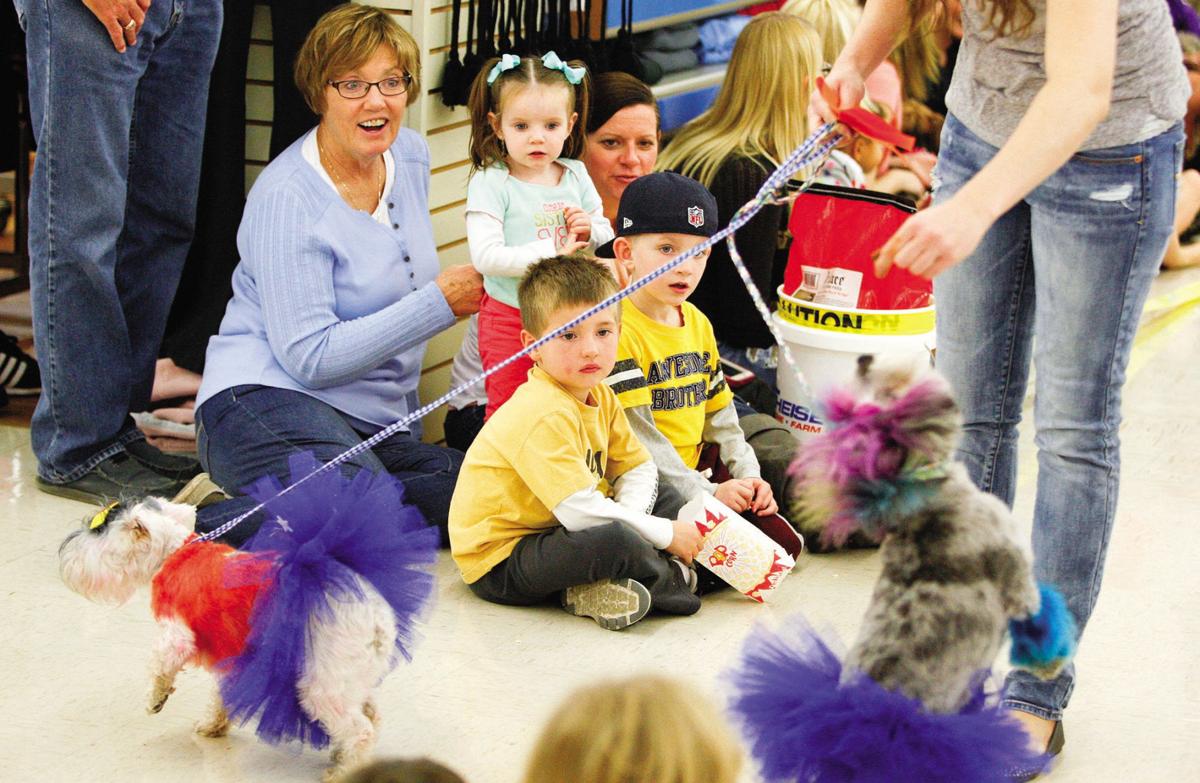 Clever Dog Owners Deliver Unfurgettable Costumes At Dog O Ween Tri State News Telegraphherald Com