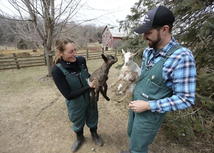 Large, mixedanimal vets provide critical care locally amid national