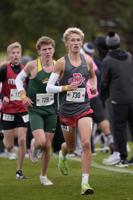 Boys prep cross country: A dozen local MVC runners returning with state experience