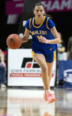 Girls prep basketball: Widel, Tanny garner more first-team all-state accolades