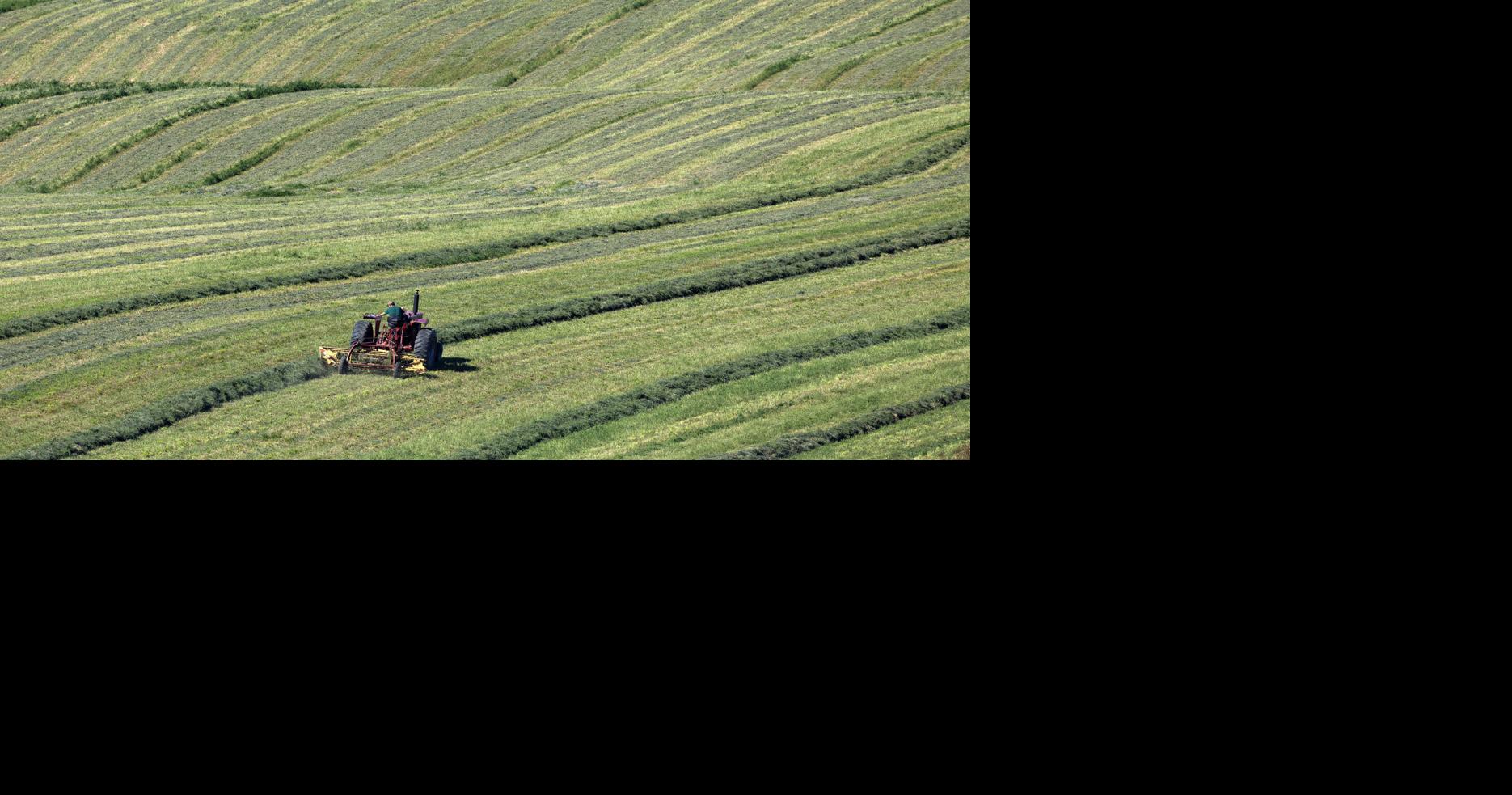 Making (and raking) hay