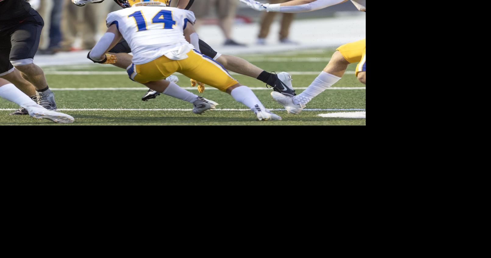 Prep football: Western Dubuque moves up 1 spot in final rankings ...