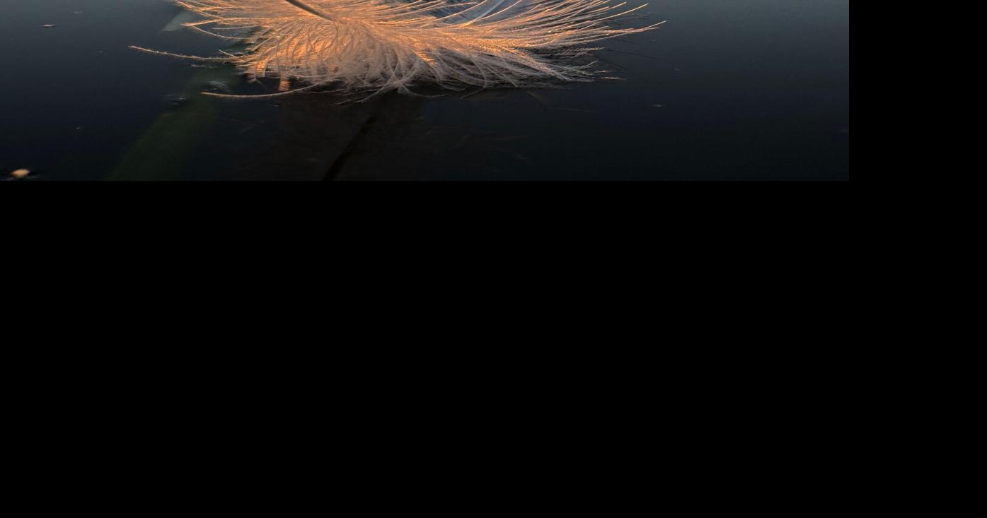 River Feather
