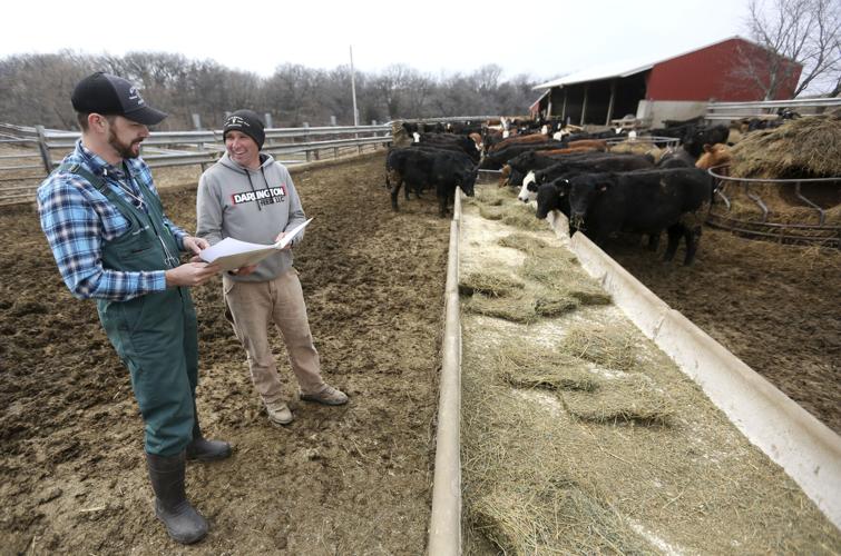 Large, mixedanimal vets provide critical care locally amid national