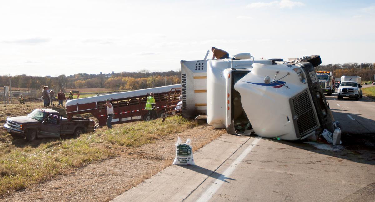 Authorities ID man cited after semi rollover kills 3 cattle near