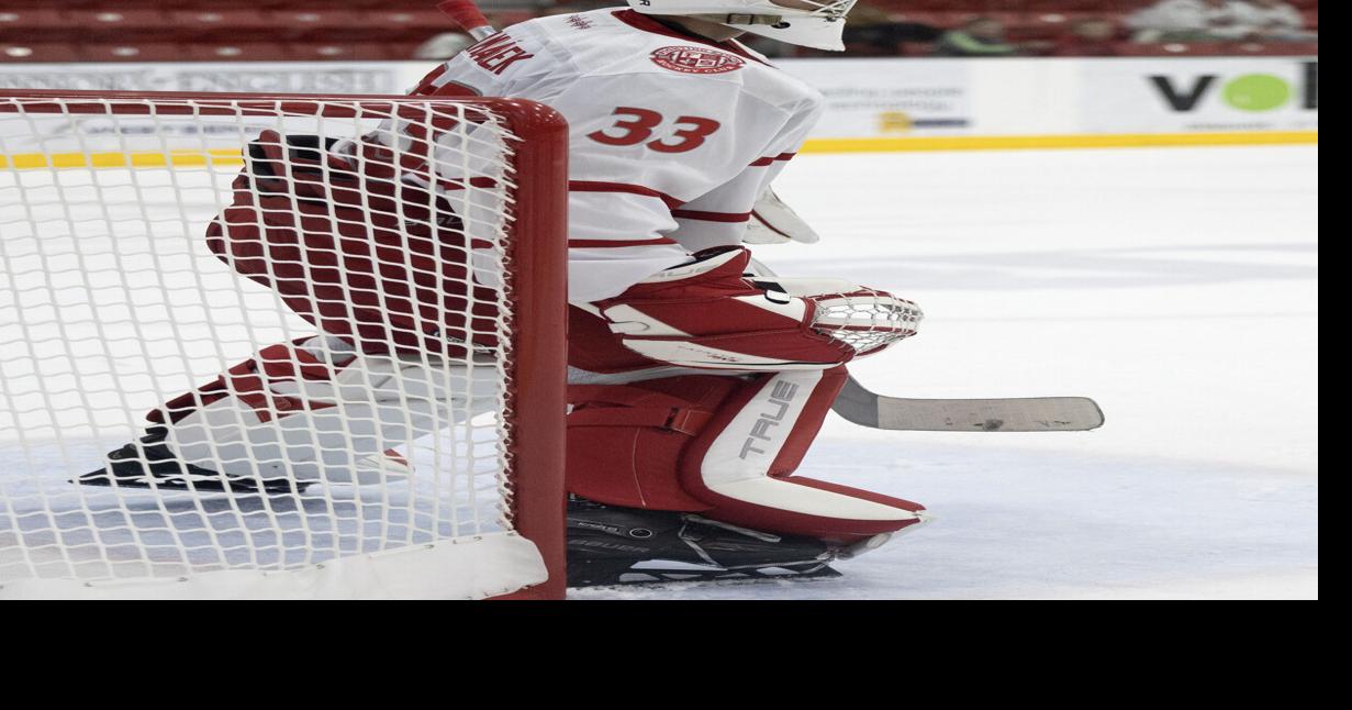 Fighting Saints open USHL season with melting-pot roster
