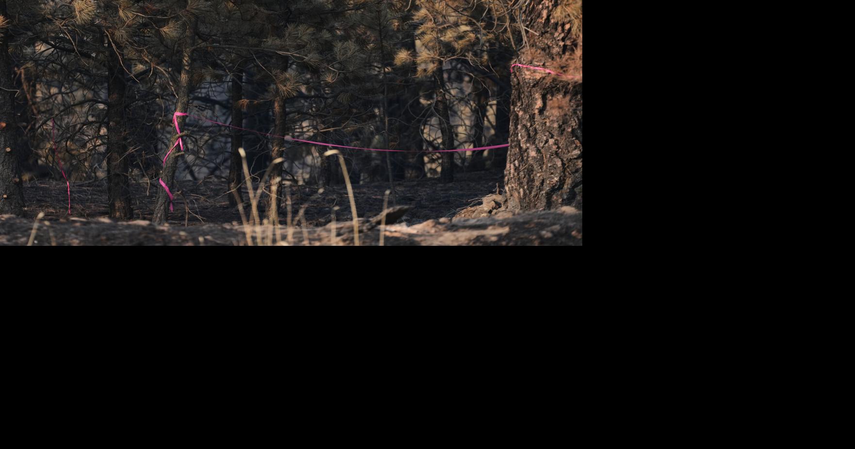 Western Wildfires