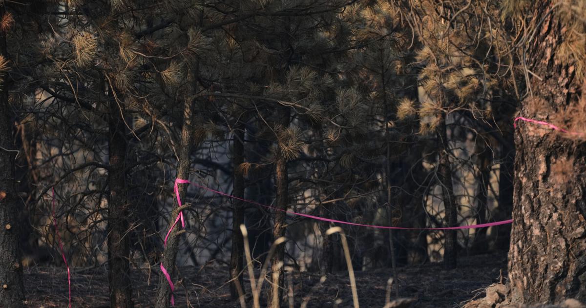 Western Wildfires