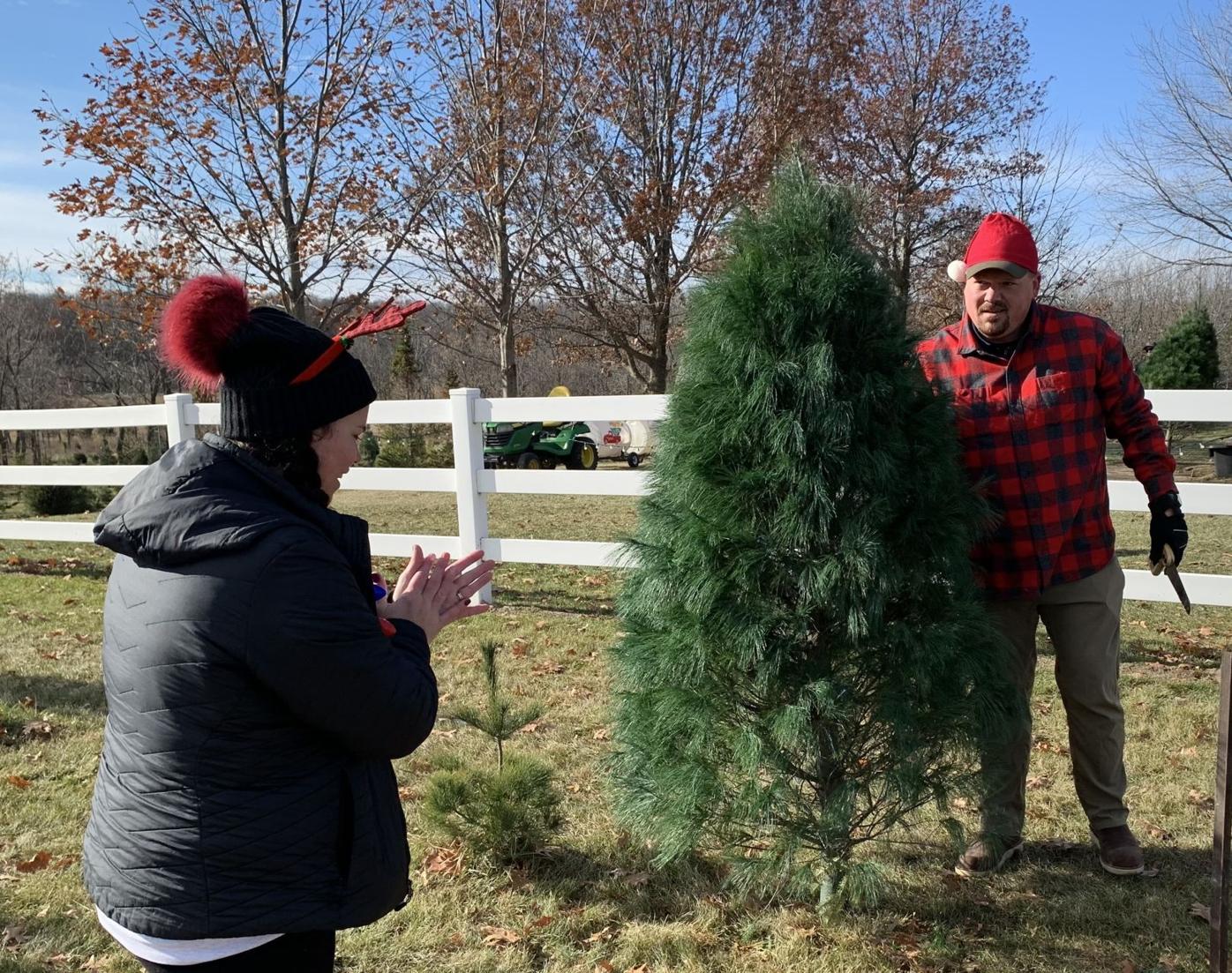 'Favorite time of the year' as families select Christmas trees at farm