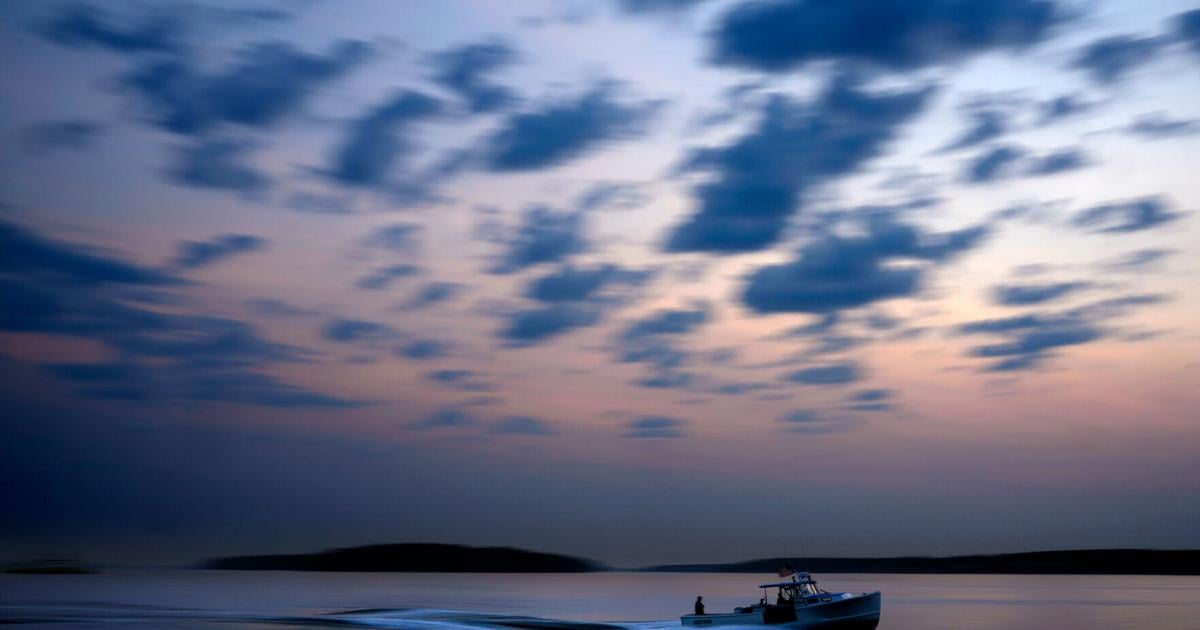 Maine's catch of lobster declines again as high costs and climate change impact industry