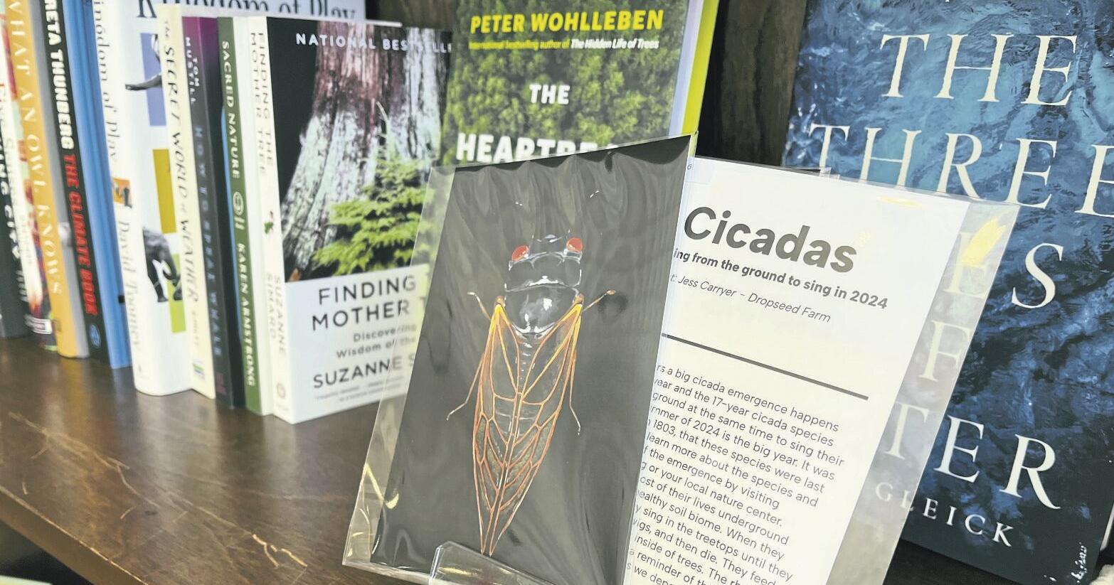 Emerging interest: Area organizations, individuals prepare for 17-year cicada emergence - Vimarsana News