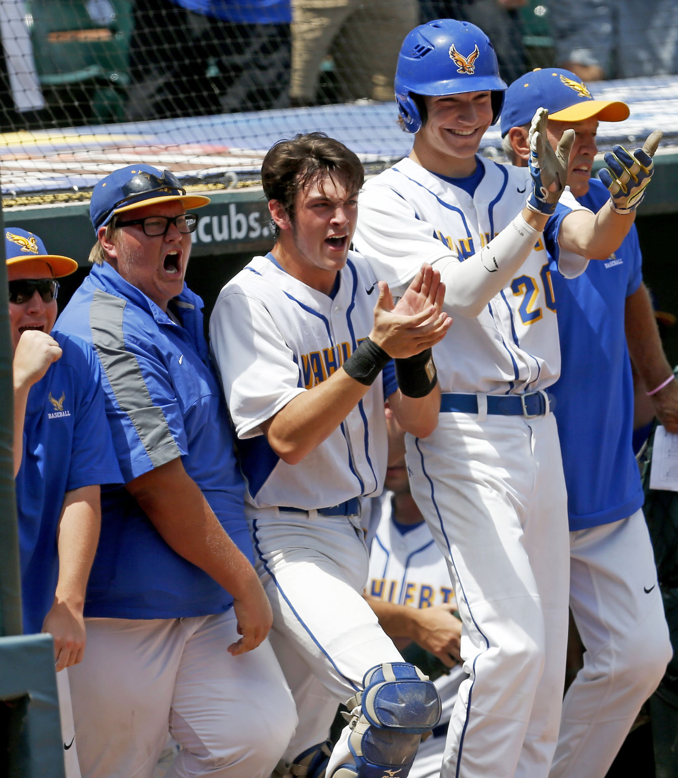 Wahlert state bb
