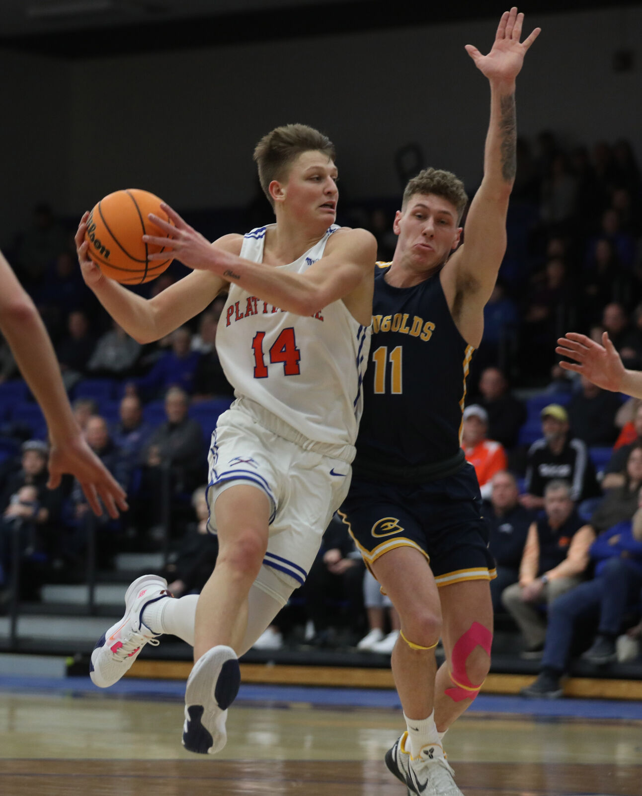 Men's College Basketball: Platteville's Pearson, Gard Earn Top Honors ...