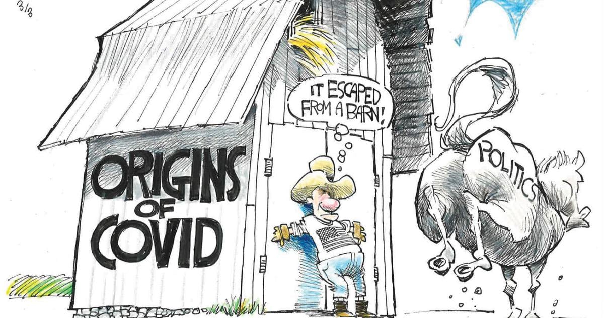 64020f6013e96.image.jpg?crop=1535%2C808%