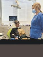 A dog day at the dentist’s: North Carolina regulates pups in dentistry