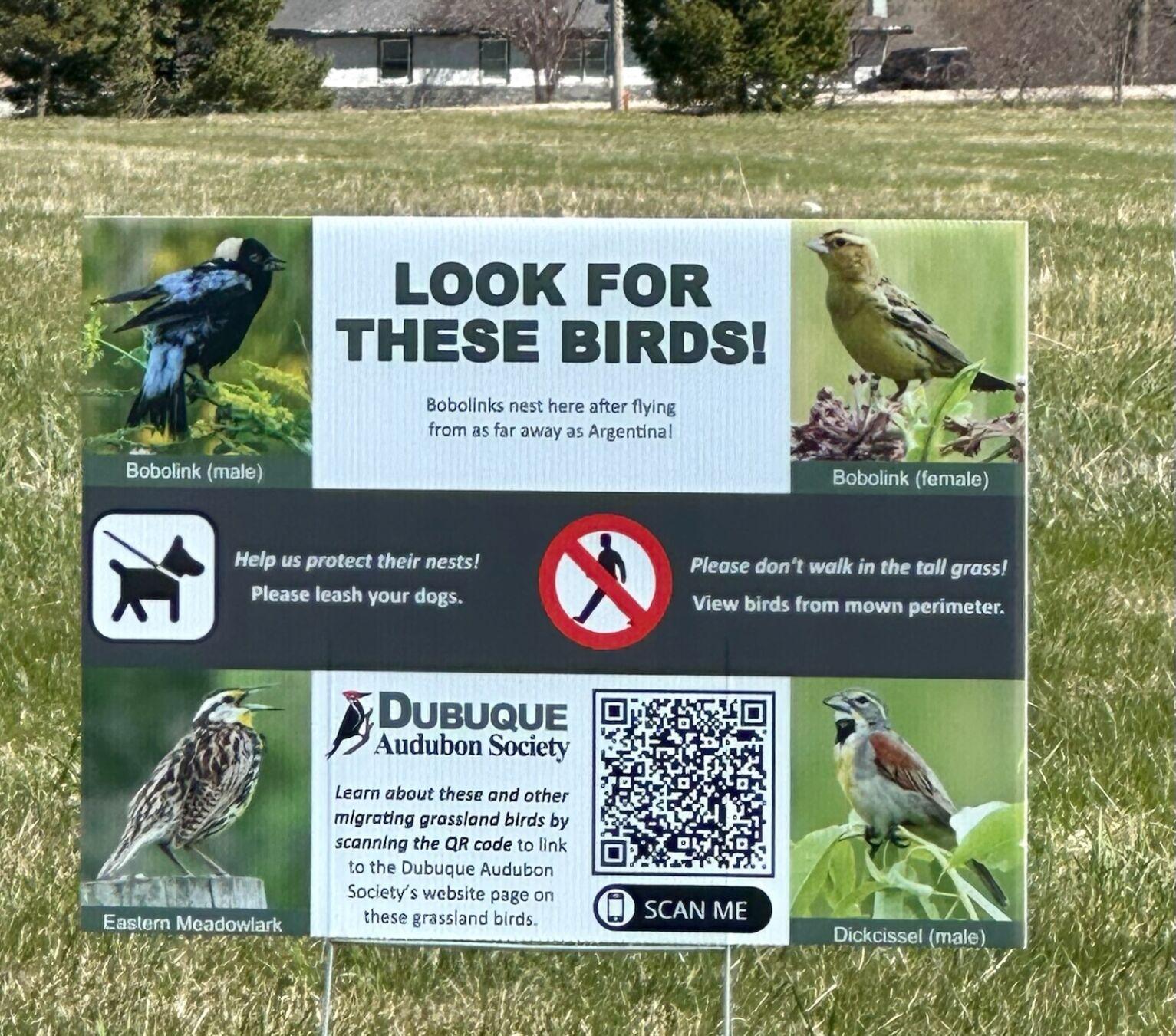 Signs alert visitors to migrating birds that frequent Dubuque business