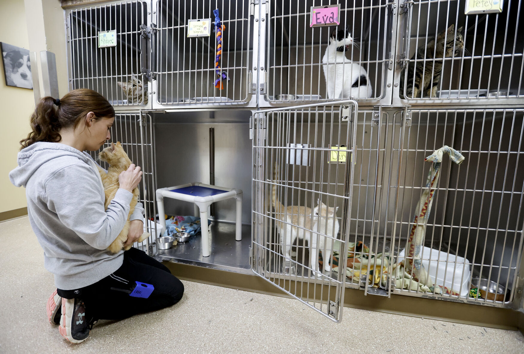 Grant County Humane Society plans move to Platteville Tri state