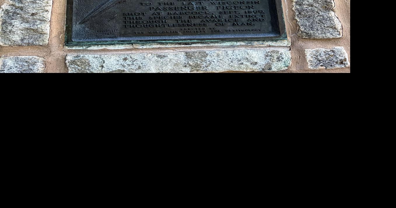 Passenger Pigeon monument
