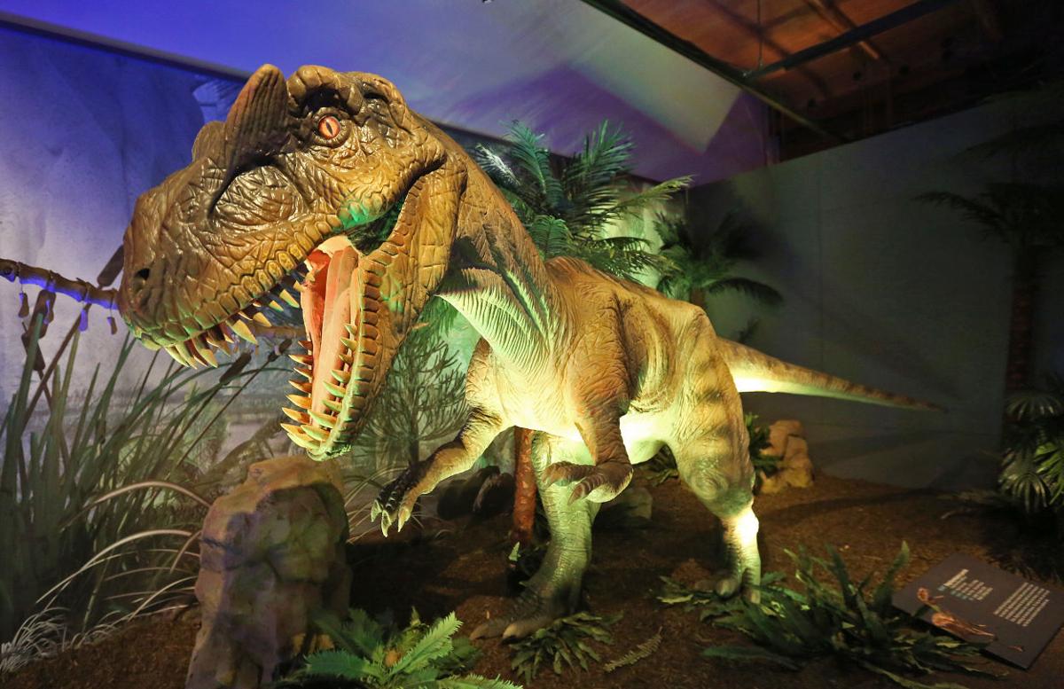 dinosaurs in dubuque dinosaurs in dubuque