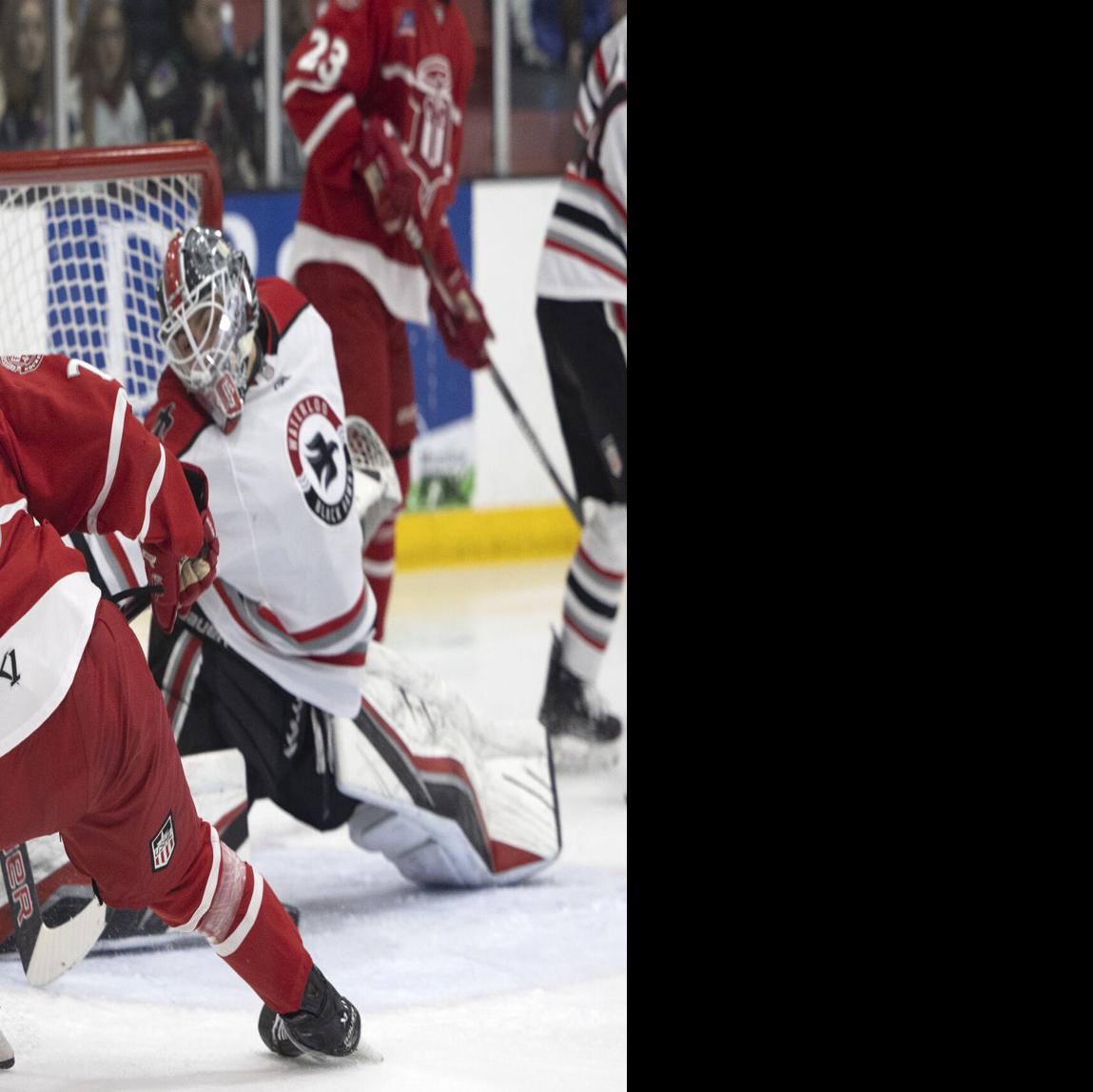 USHL: Fighting Saints move to 6-0 behind McCarthy shutout, Local Sports