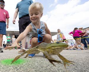 Nearly 100 kids compete in the Dubuque County Fair's annual Frog Jump Contest