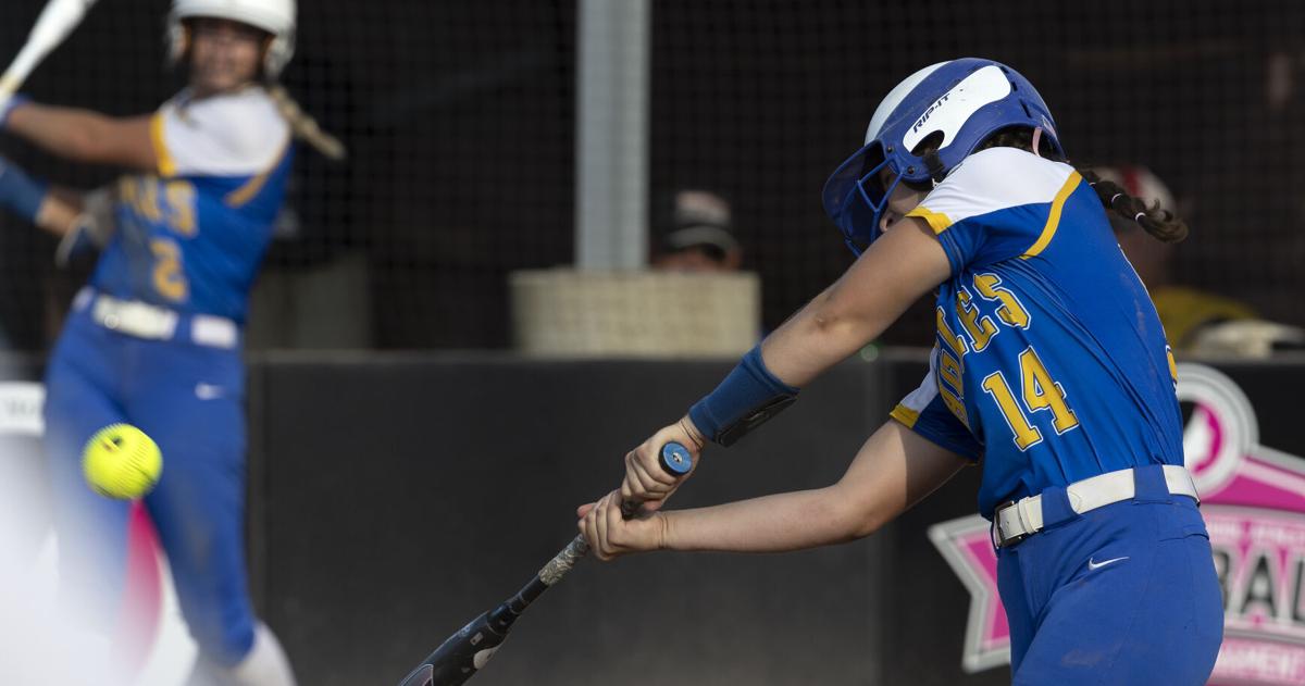 Prep softball: Roth sets record, but Assumption holds off Wahlert in ...