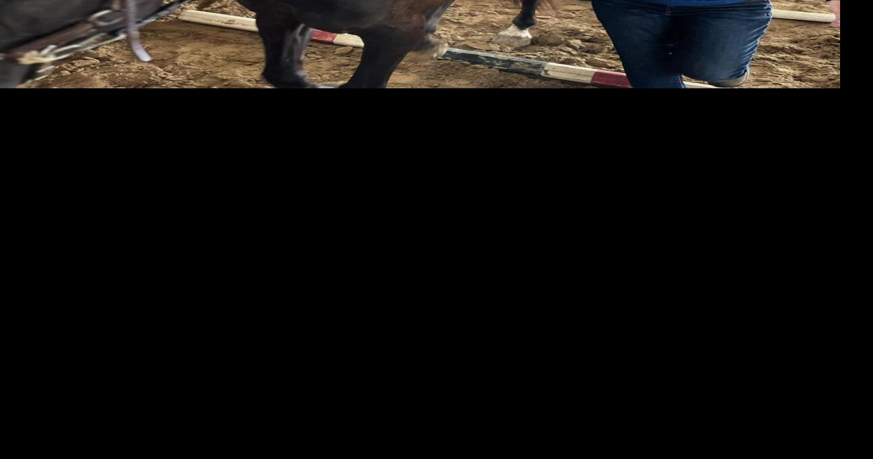 Person who makes a difference Inspiration Stables volunteer helps kids