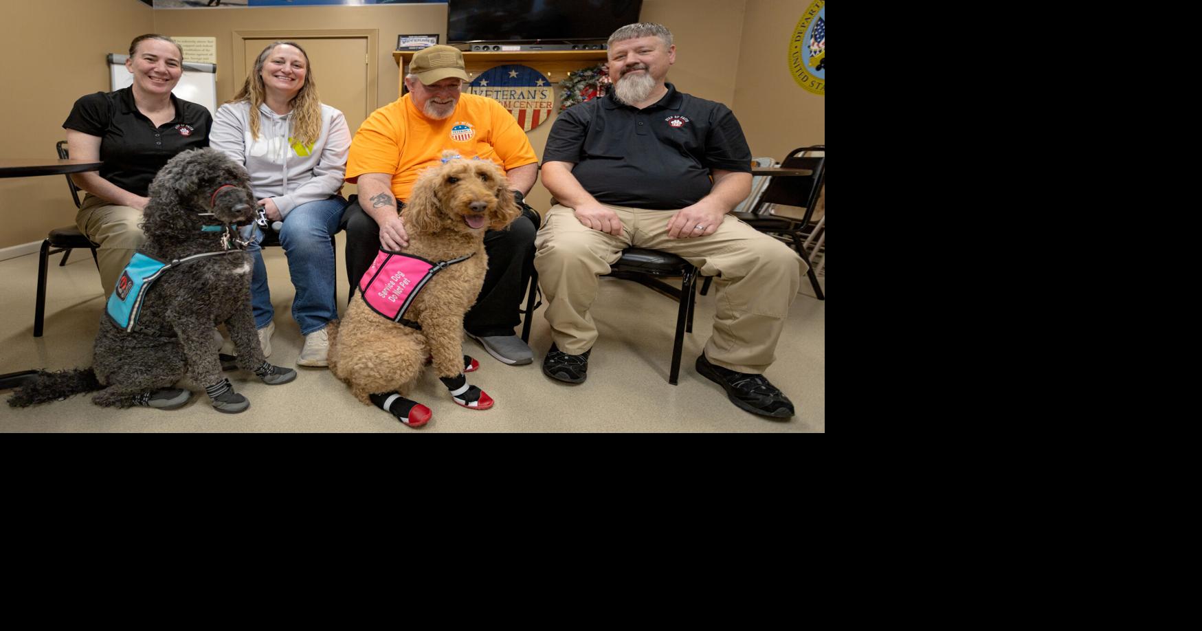 A Step of Faith: Dubuque couple trains service dogs for trauma survivors