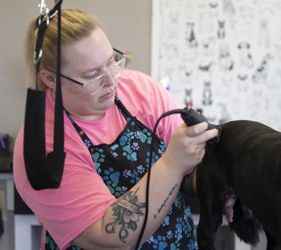 Biz Buzz Monday Dubuque pet groomer opens own business after years in