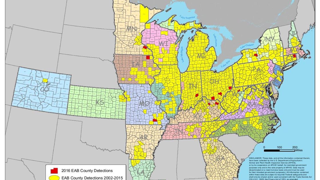 Map U S Counties With Confirmed Emerald Ash Borer Presence Tri State News Telegraphherald Com Emerald Ash Borer Iowa Map 2022
