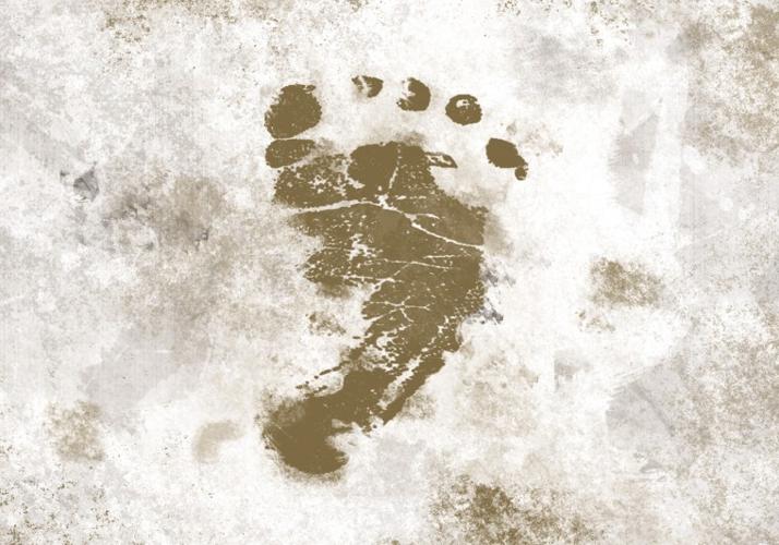 Is Bigfoot hiding in northwest New Mexico?