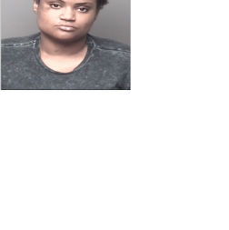 Local woman sentenced to probation for role in Dubuque disturbance - Vimarsana News
