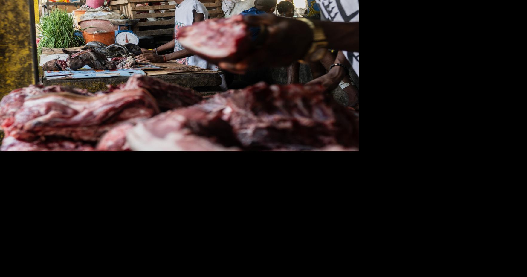 The Hidden Wild Meat Trade in Kinshasa’s Masina Market