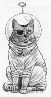 Press Play: A super-intelligent, bio-engineered cat named Schroedinger (a.k.a. "Pickles")