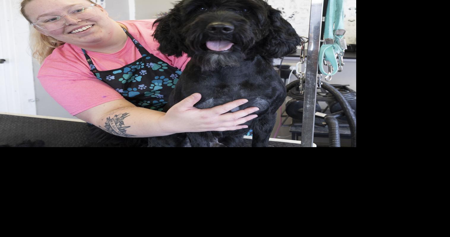 Biz Buzz Monday Dubuque pet groomer opens own business after years in