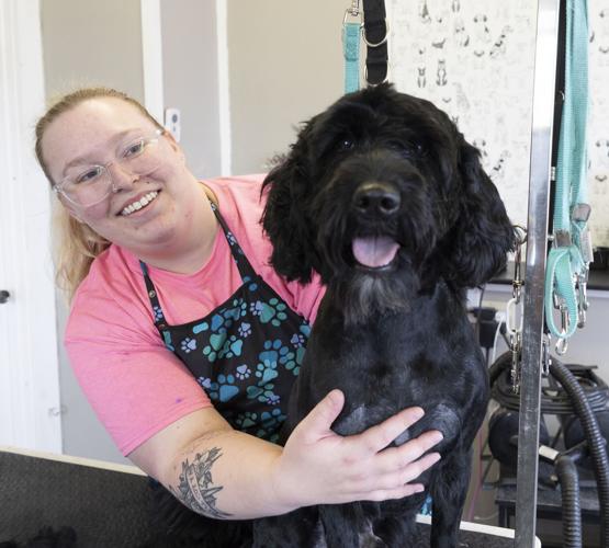 Biz Buzz Monday Dubuque pet groomer opens own business after years in