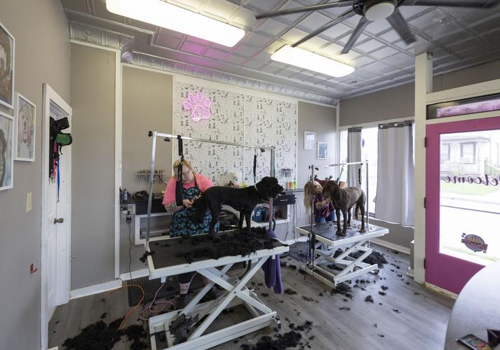 Biz Buzz Monday Dubuque pet groomer opens own business after years in
