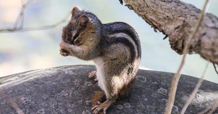 Write the caption : vimarsana.com