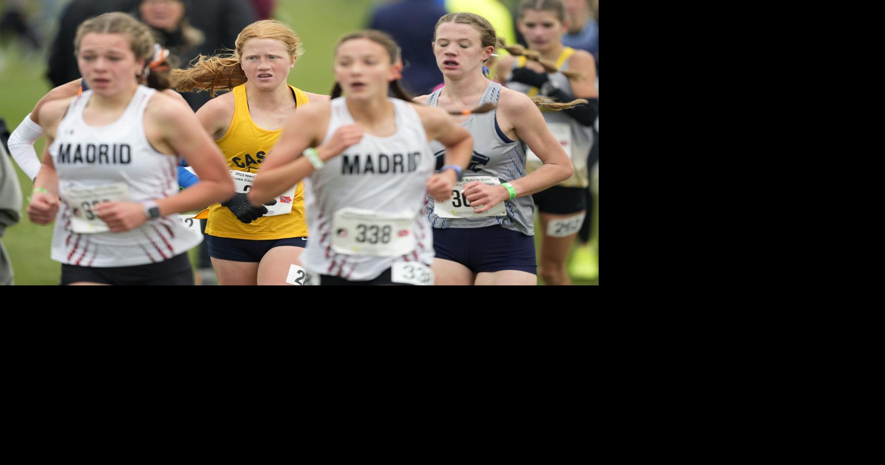 Prep cross country: Area runners vie for state meet berths today ...