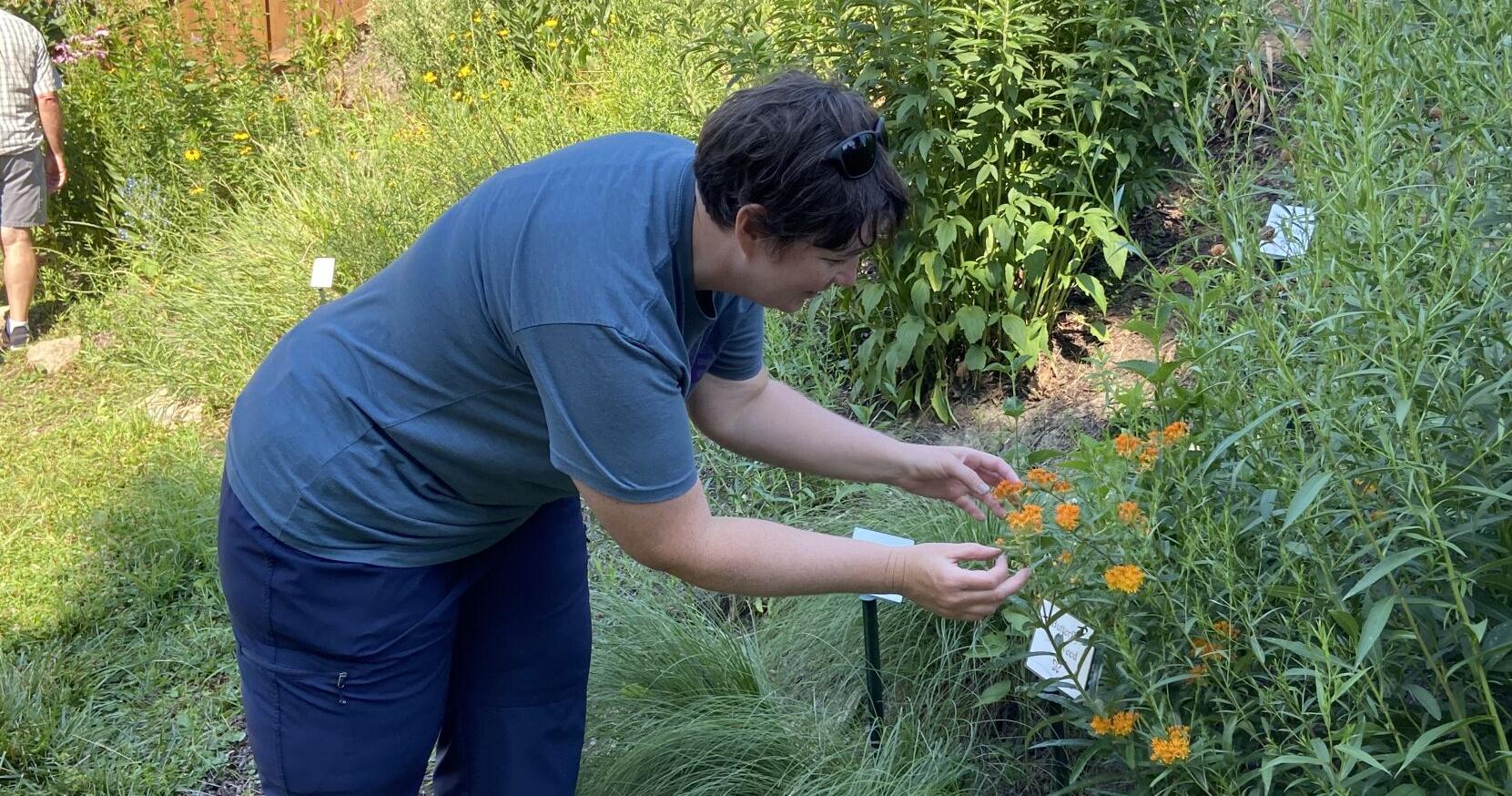 Dubuque participants reap benefits of Mowing to Monarchs program - Vimarsana News