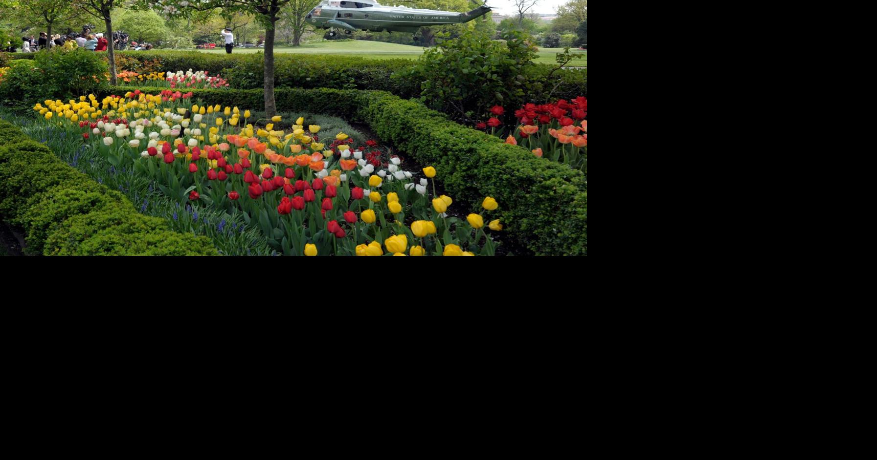 Gardening-White House Rose Garden
