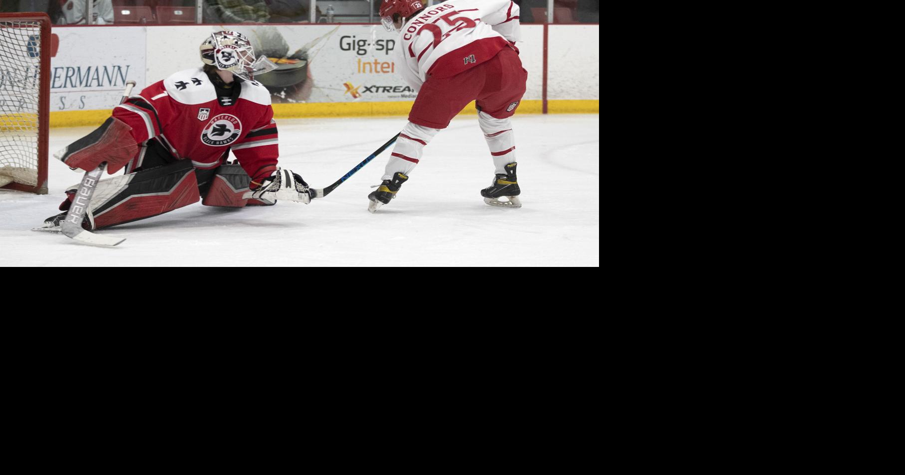USHL: Fighting Saints blitz Waterloo | Local Sports | telegraphherald.com