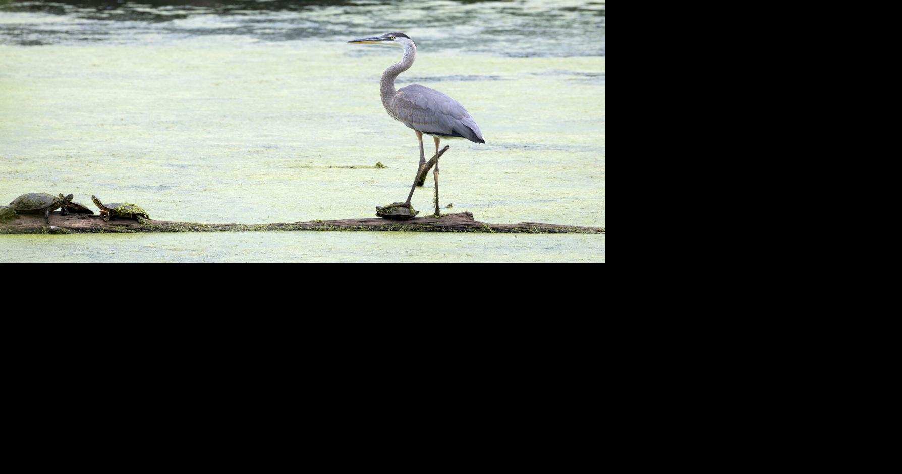 Image B77f430b 93fe 4659 Bcc0 03b05fd2ccb2