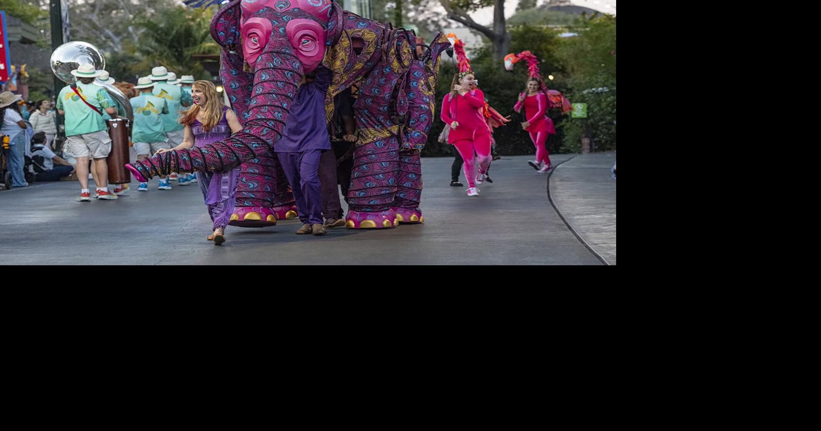 For decades, San Diego's Nighttime Zoo has been a summer staple. This is the last year