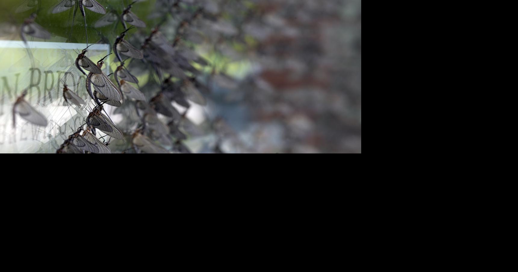 Image Be0d3eb4 F03b 4812 9d24 4b7e04d809fe