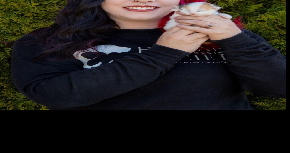 What are 'working cats'? How does Dubuque humane society's working cat