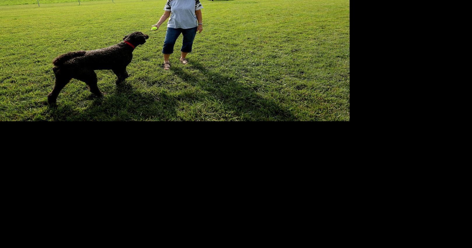 Dog park named for late council member opens in Cuba City